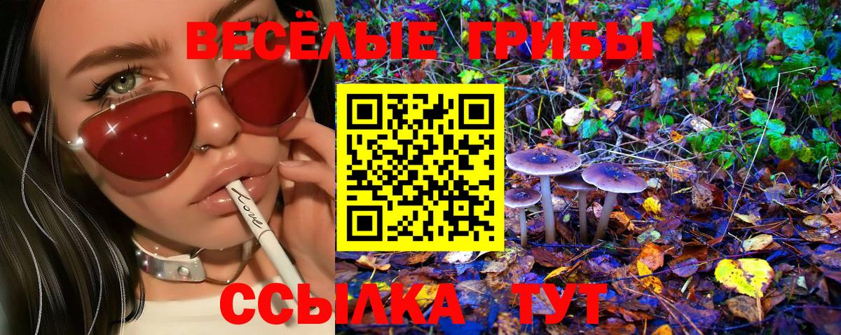 Псилоцибиновые грибы Magic Shrooms Новозыбков